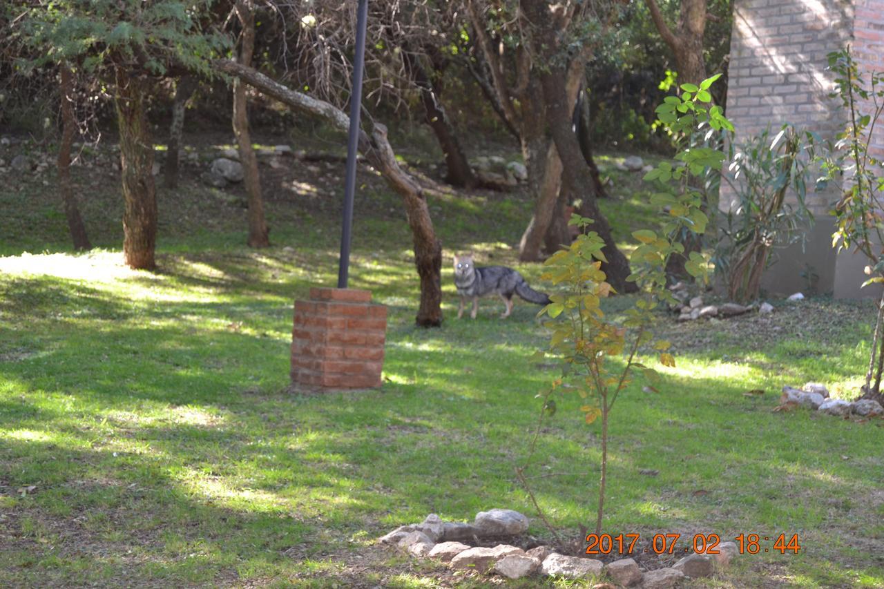 Villa Cabanas Del Bosque Merlo Exterior foto